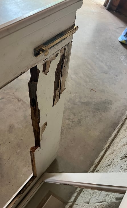 Discount Rot Rot: Identification, Repair, and Prevention